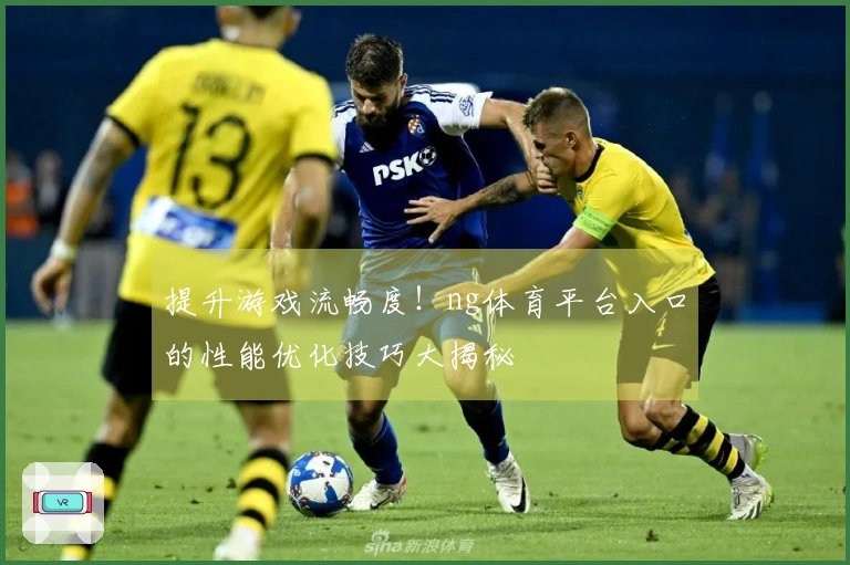 提升游戏流畅度！ng体育平台入口的性能优化技巧大揭秘