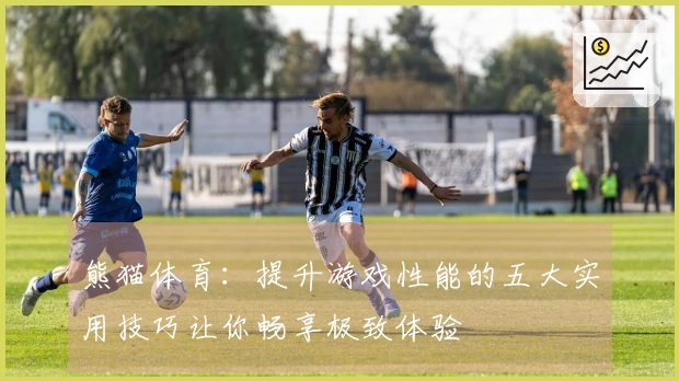熊猫体育：提升游戏性能的五大实用技巧让你畅享极致体验