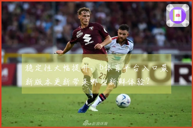 稳定性大幅提升，b体育平台入口最新版本更新带来哪些新鲜体验？